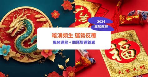 屬豬2024|【屬豬2024生肖運勢】暗湧頻生，運勢反覆｜屬豬運 